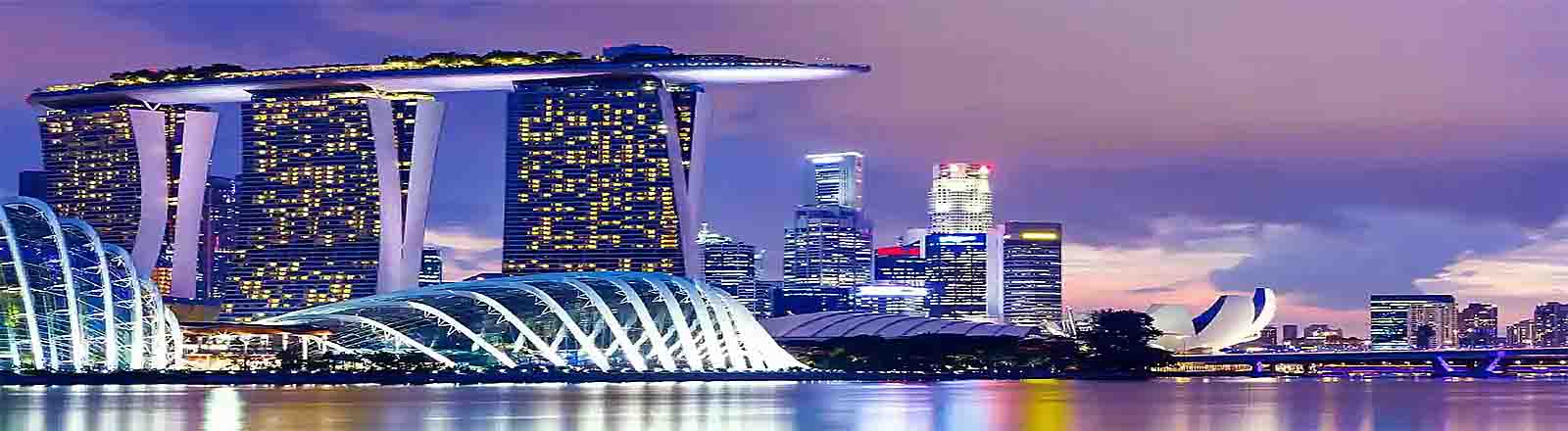 تورهای-سنگاپور