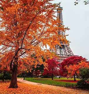 تور-فرانسه-(-6-روز-|-24-مهر-و-8-آبان-1404)