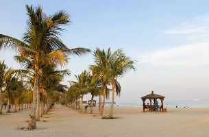 تور-کیش-(1404-09-20)