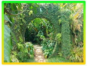 تور-سریلانکا-|-8-روز-(-15-آبان-1404-)