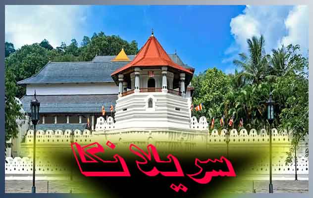 تور-سریلانکا-|-8-روز-(-29-آبان-1404-)